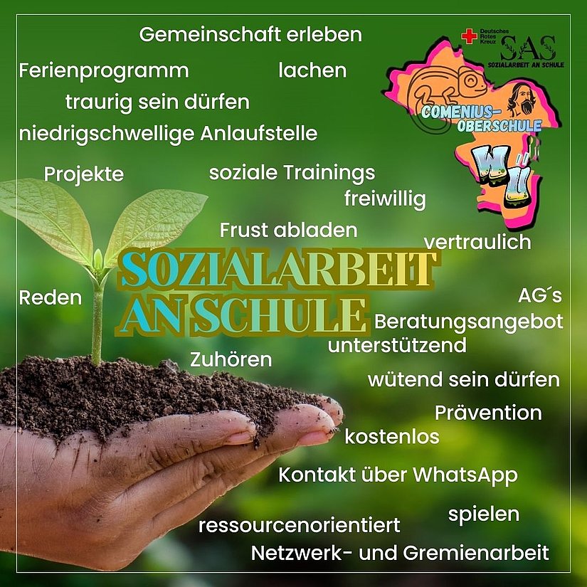 sas_1_inhalt